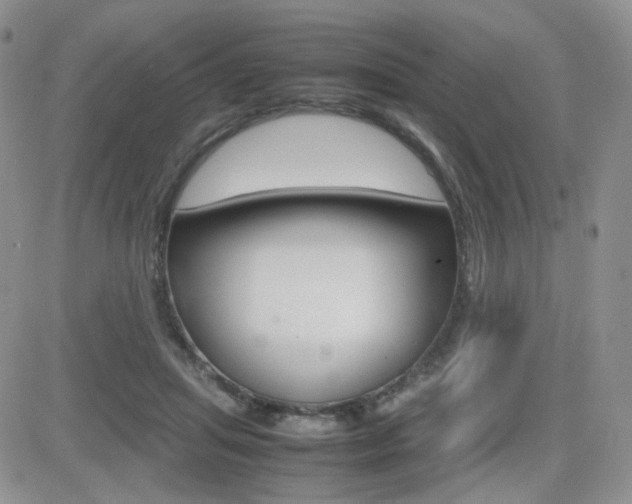 X0000082700455200701260934