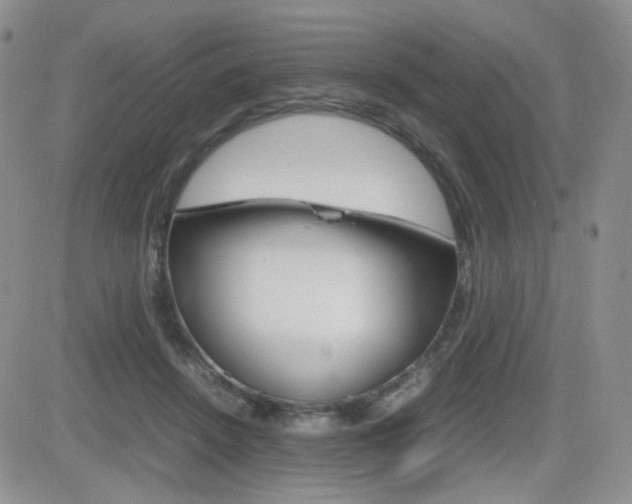 X0000082700456200701260934