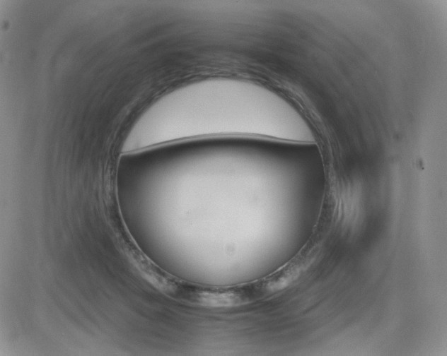 X0000082700457200701260934