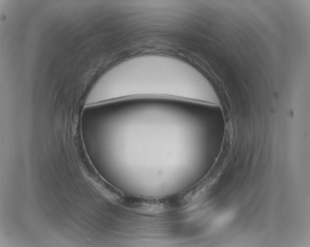 X0000082700458200701260934