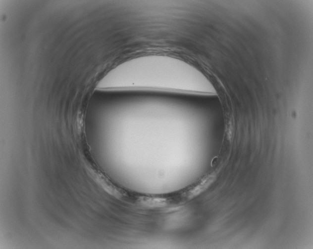 X0000082700476200701260934