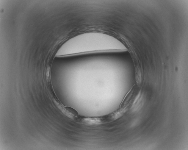 X0000082700477200701260934