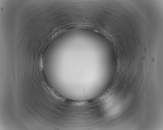 X0000082700479200701260934