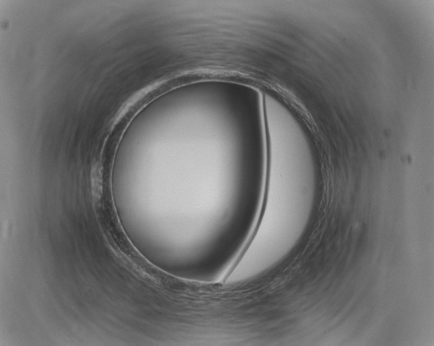 X0000082700484200701260934
