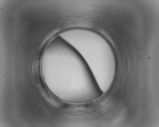 X0000082700491200701260933