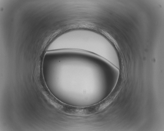 X0000082700493200701260933