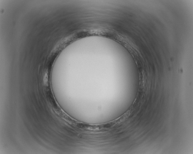 X0000082700502200701260933