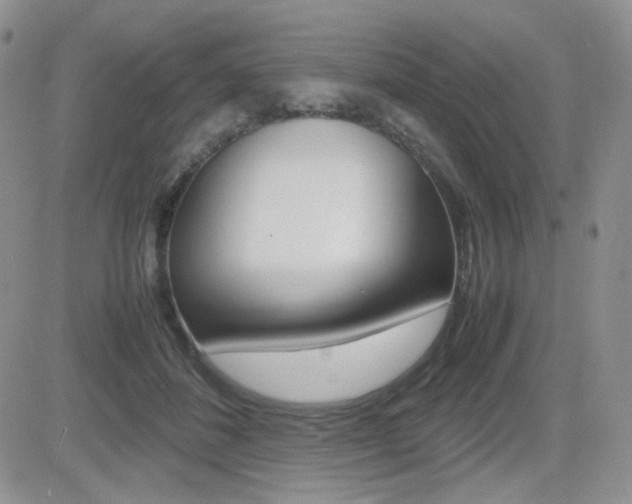 X0000082700508200701260933