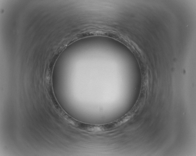 X0000082700513200701260933