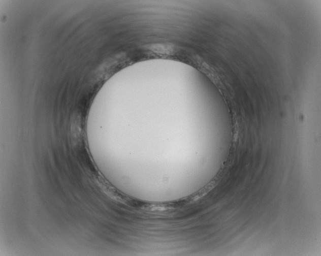 X0000082700518200701260933