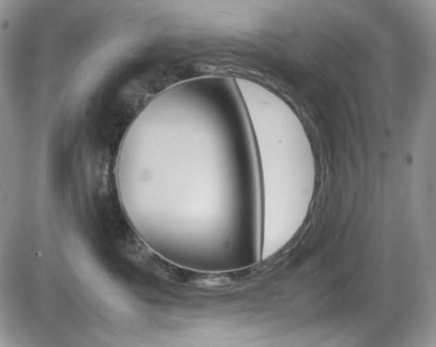 X0000082700525200701260933