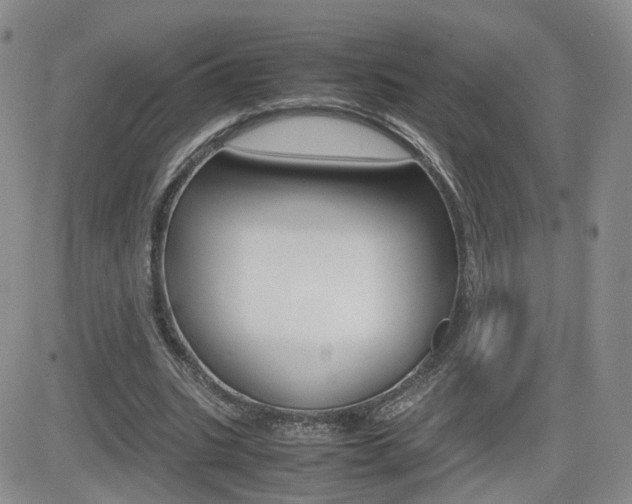 X0000082700535200701260932