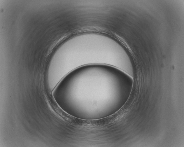 X0000082700538200701260932