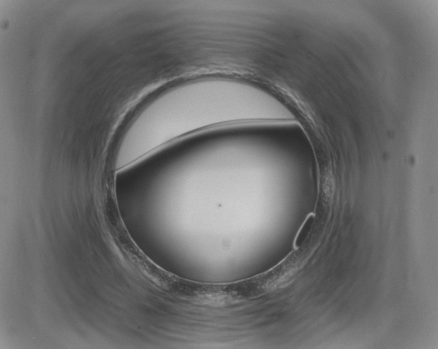 X0000082700540200701260932