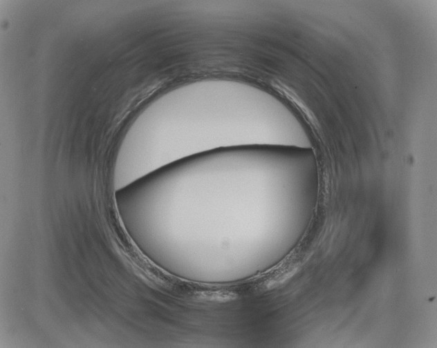 X0000082700541200701260932