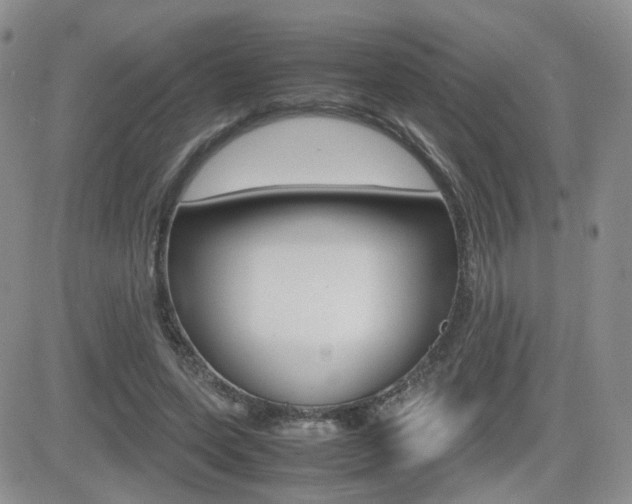 X0000082700543200701260932