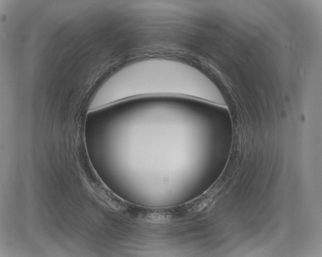 X0000082700546200701260932