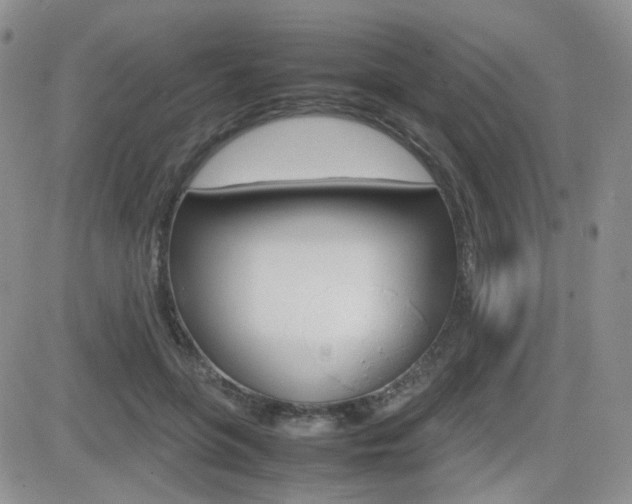 X0000082700551200701260932