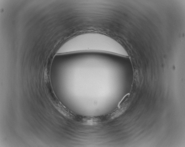 X0000082700564200701260933