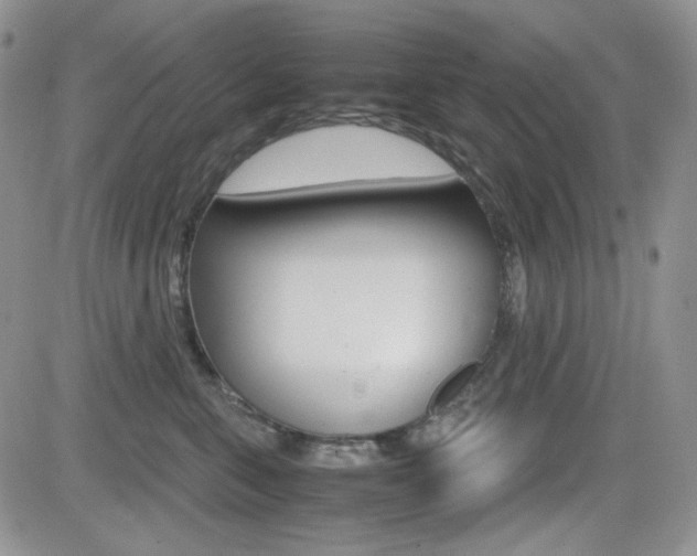 X0000082700571200701260933