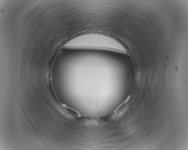 X0000082700572200701260933