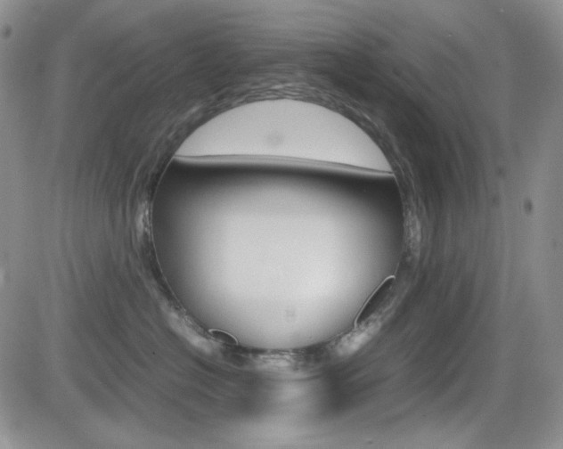 X0000082700574200701260933