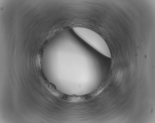 X0000082700575200701260933
