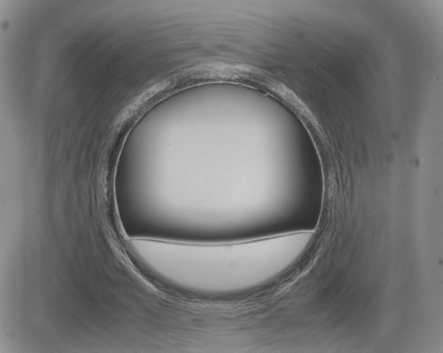 X0000082700581200701260932