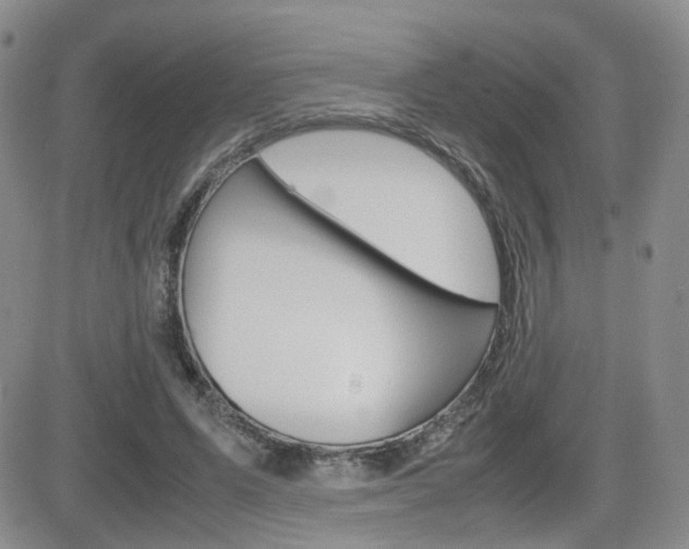 X0000082700591200701260932