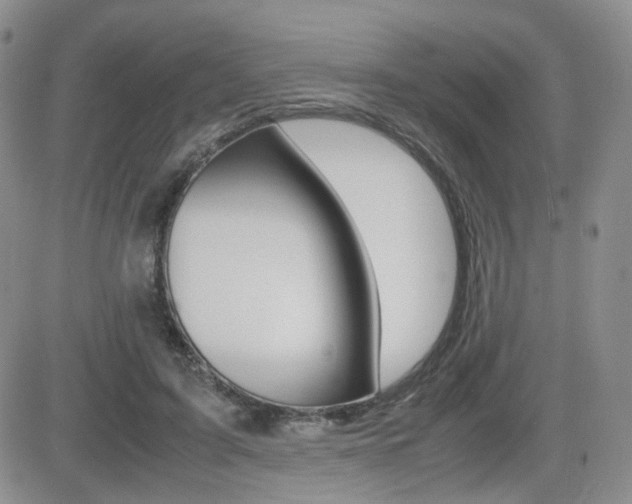 X0000082700595200701260932