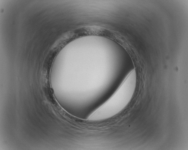 X0000082700599200701260932