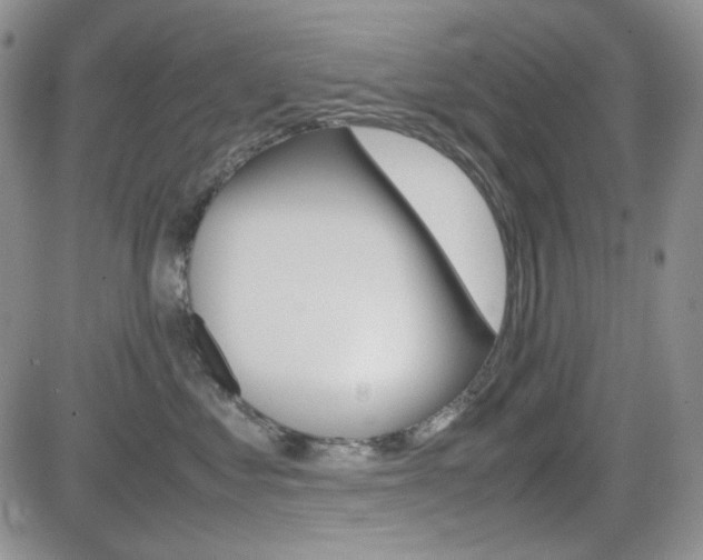 X0000082700621200701260931