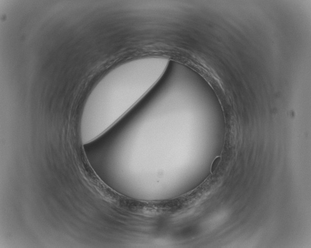 X0000082700641200701260931