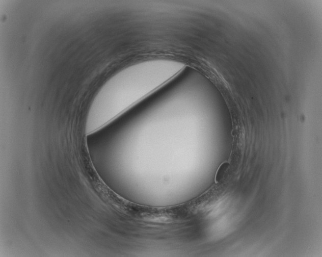 X0000082700643200701260931