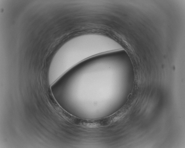 X0000082700645200701260931