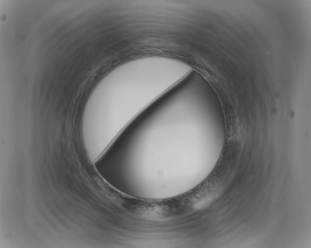 X0000082700646200701260931