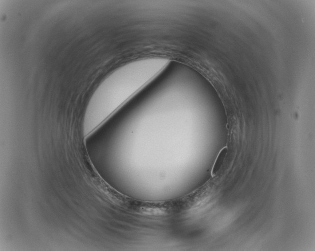 X0000082700649200701260931
