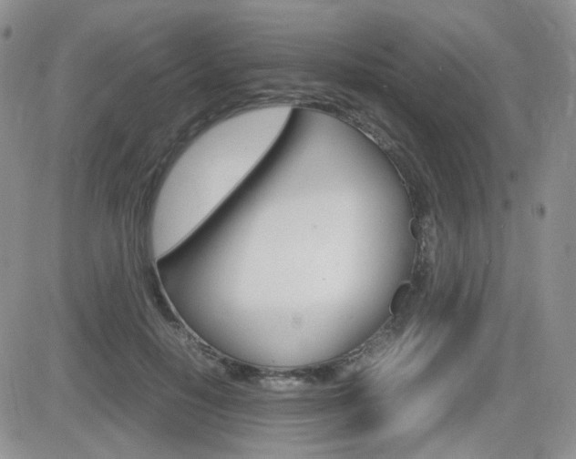 X0000082700650200701260931