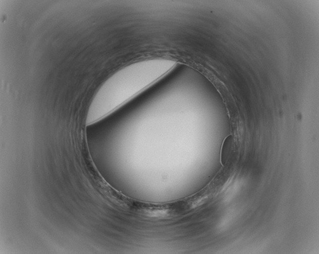 X0000082700651200701260931