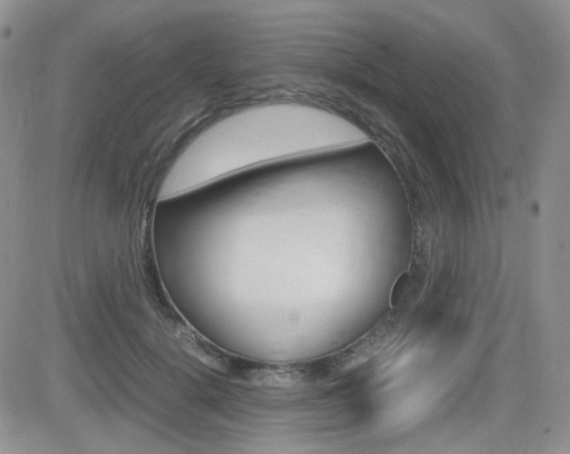 X0000082700652200701260931