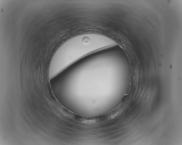 X0000082700653200701260931