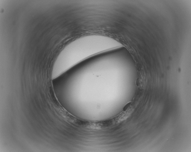X0000082700656200701260931
