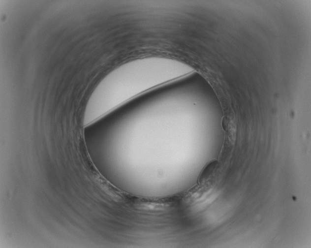 X0000082700657200701260931