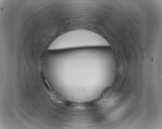 X0000082700658200701260931