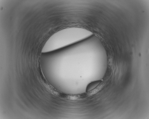 X0000082700662200701260931