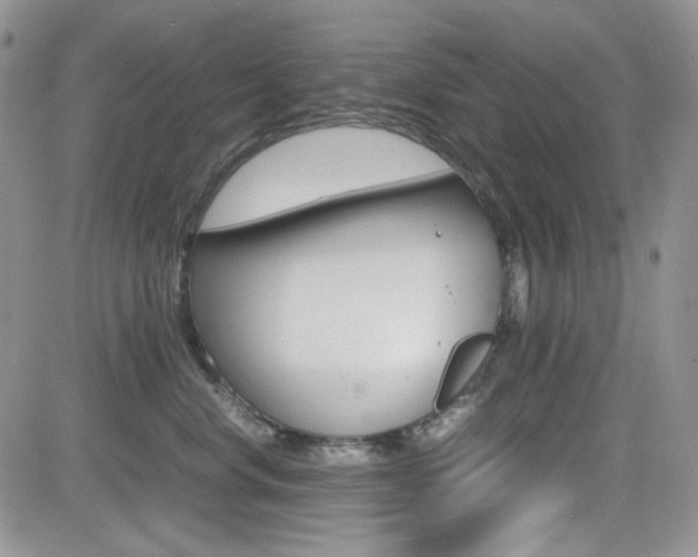 X0000082700668200701260931