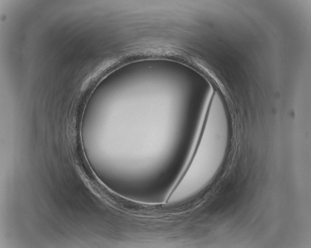 X0000082700677200701260930