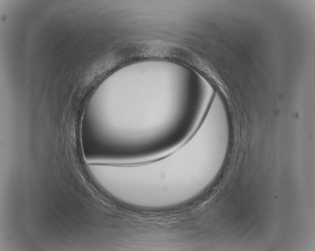 X0000082700681200701260930