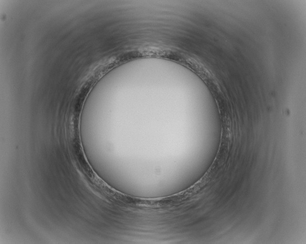 X0000082700690200701260930