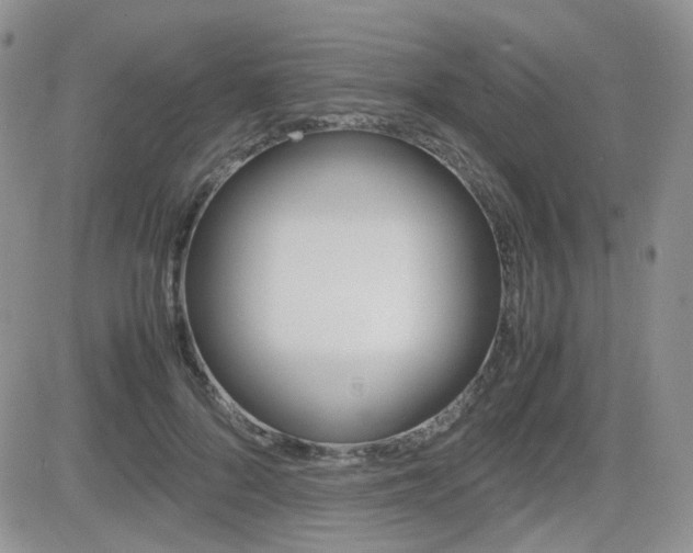 X0000082700696200701260930